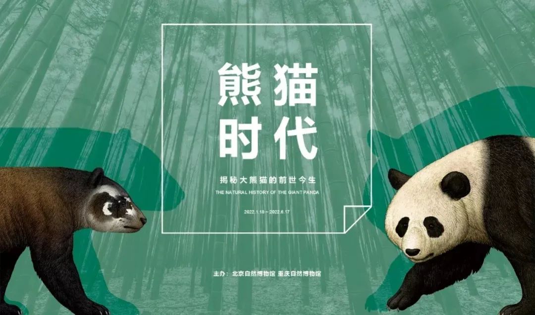 3月北京展訊丨最是一年春好處，最高人氣藝術(shù)大展等你去打卡...(圖10)